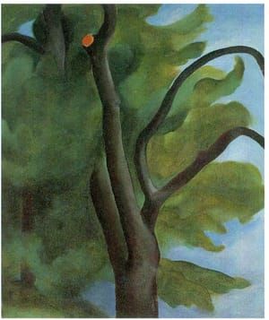 Artwork Title: Tree with Cut Limb