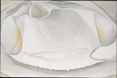 Artwork Title: Clam Shell
