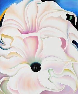 Artwork Title: Bella Donna