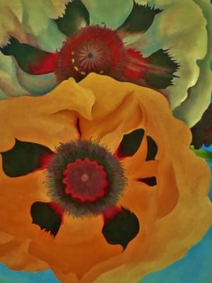 Artwork Title: Poppies