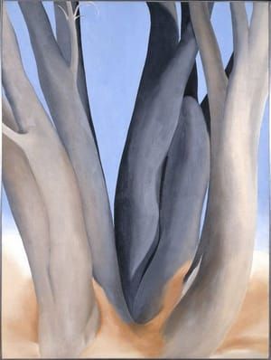 Artwork Title: Dark Tree Trunks