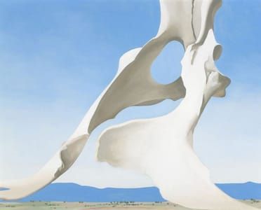 Artwork Title: Pelvis With The Distance