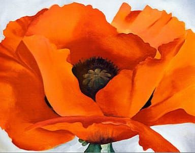 Artwork Title: Red Poppy