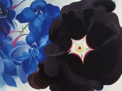 Artwork Title: Black Hollyhock Blue Larkspur