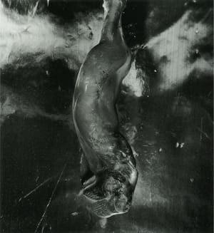 Artwork Title: Melted Bottle