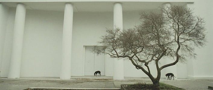 Artwork Title: Giardini
