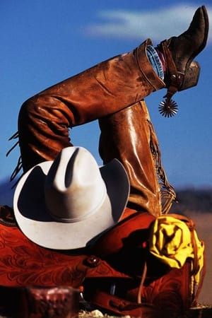 Artwork Title: Cowboy