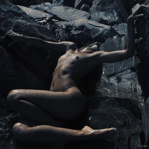 Artwork Title: Untitled