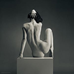Artwork Title: Untitled