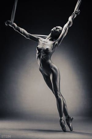 Artwork Title: Untitled