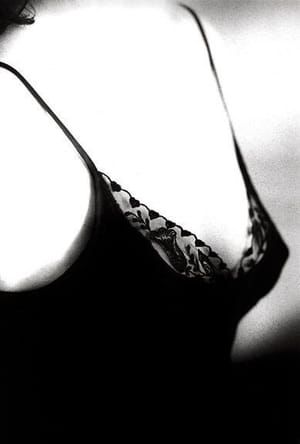 Artwork Title: Untitled