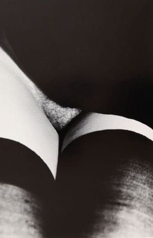 Artwork Title: Nu aux bas