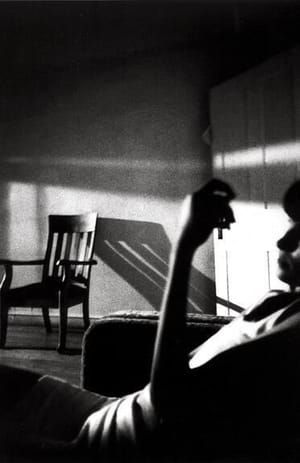 Artwork Title: Somnambulist