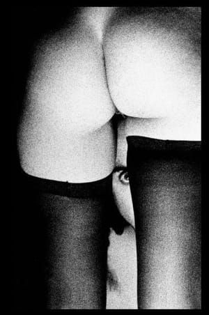Artwork Title: Eye, ass