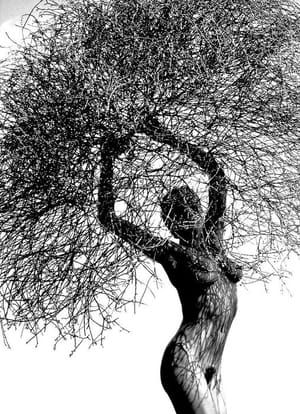 Artwork Title: Untitled