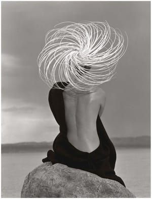 Artwork Title: 'Versace Veiled Dress, El Mirage'