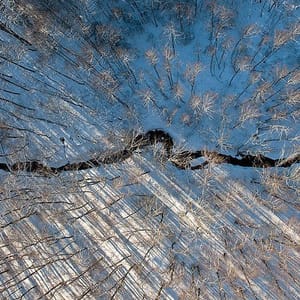 Artwork Title: Untitled