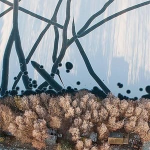 Artwork Title: Winter In 9 Squares Series