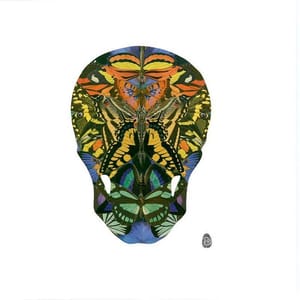 Artwork Title: Butterskull Back