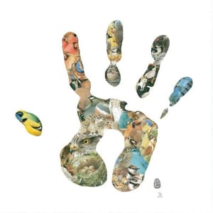 Artwork Title: Better 48 birds in your hand