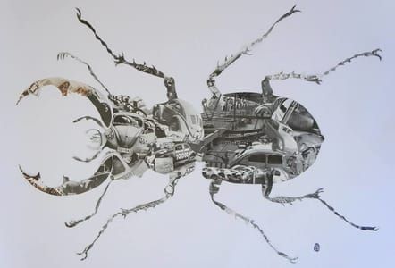 Artwork Title: Herbie Lucanus Cervus