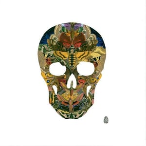 Artwork Title: Butterskull Front