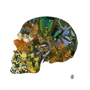 Artwork Title: Butterskull Left