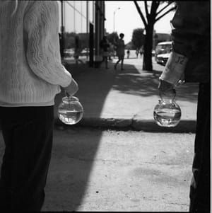Artwork Title: Vivian Maier