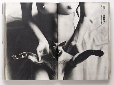 Artwork Title: Untitled