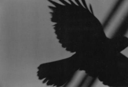 Artwork Title: Erimo Cape, from The Solitude of Ravens