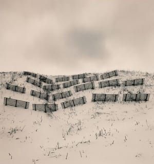 Artwork Title: Untitled