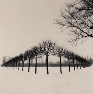 Artwork Title: Untitled