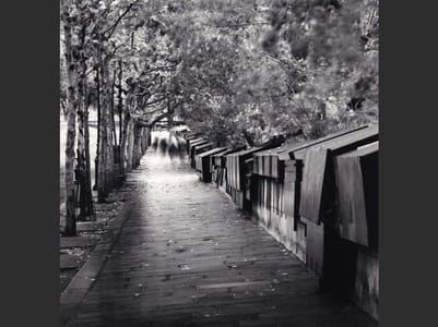 Artwork Title: Bookstalls, Study 2, Paris, France