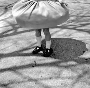 Artwork Title: Twirling