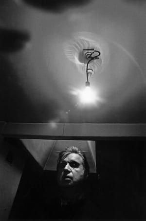 Artwork Title: Francis Bacon