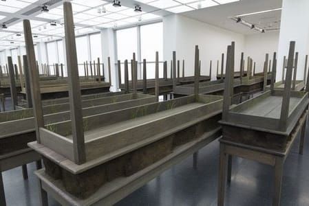 Artwork Title: Plegaria Muda (“Silent Prayer”) (2008–10)