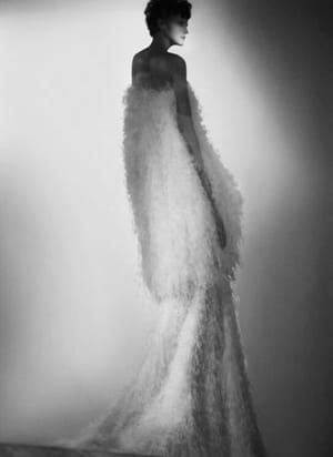 Artwork Title: Untitled