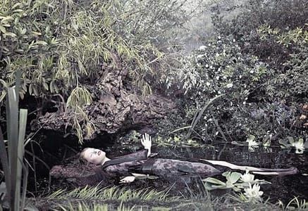 Artwork Title: Ophelia has a dream