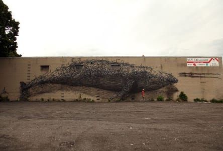 Artwork Title: Discount Evolution, Rochester Usa
