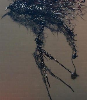 Artwork Title: Untitled