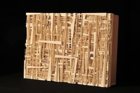 Artwork Title: Urban Organism
