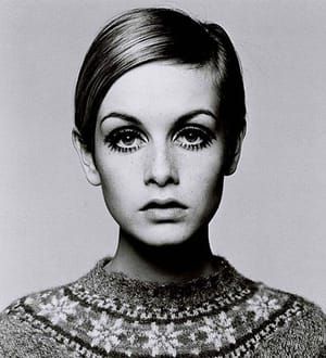 Artwork Title: Twiggy
