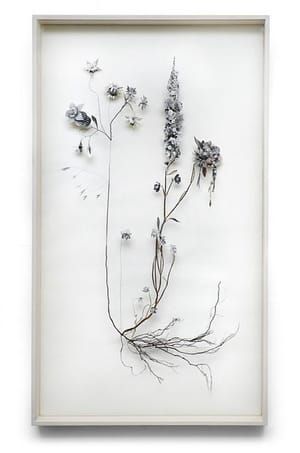 Artwork Title: Flower Construction #27