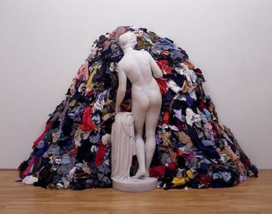 Artwork Title: Venus Of The Rags