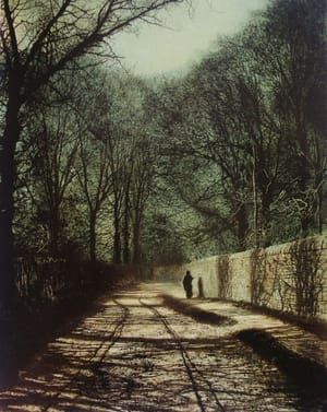 Artwork Title: Tree Shadows on the Park Wall