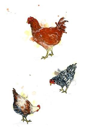 Artwork Title: Chickens