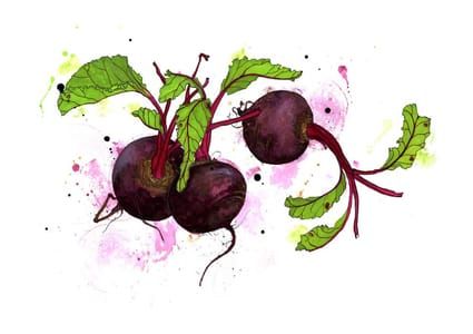Artwork Title: Beet Root