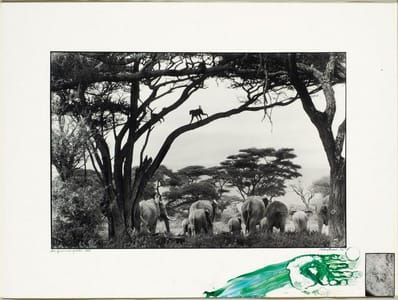 Artwork Title: Gardeners Of Eden