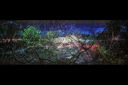 Artwork Title: Pure Land