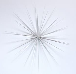 Artwork Title: Wall Flower No.5